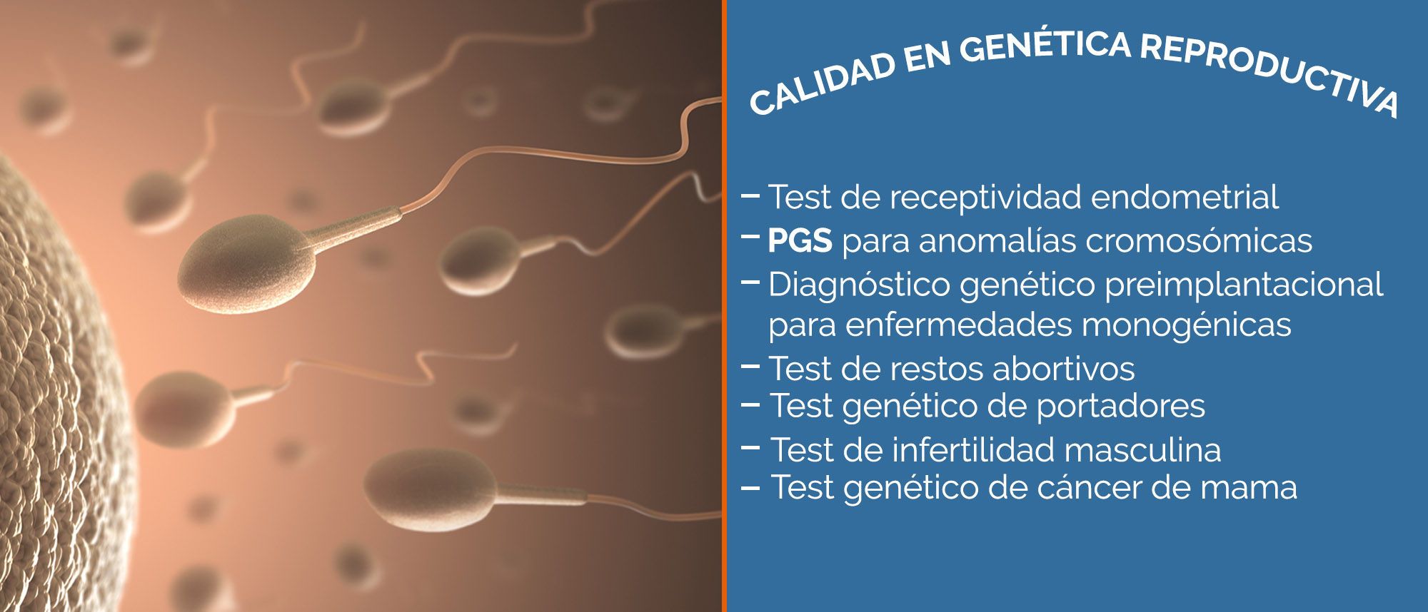 calidad genetica reproductiva
