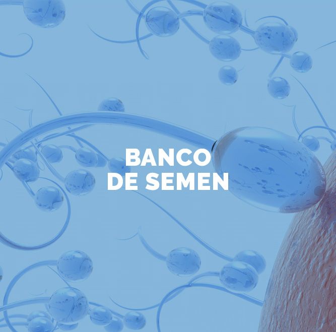 Banco de semen